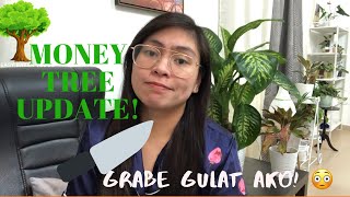 Money Tree ROOT ROT?! Part 2 |011 screenshot 5