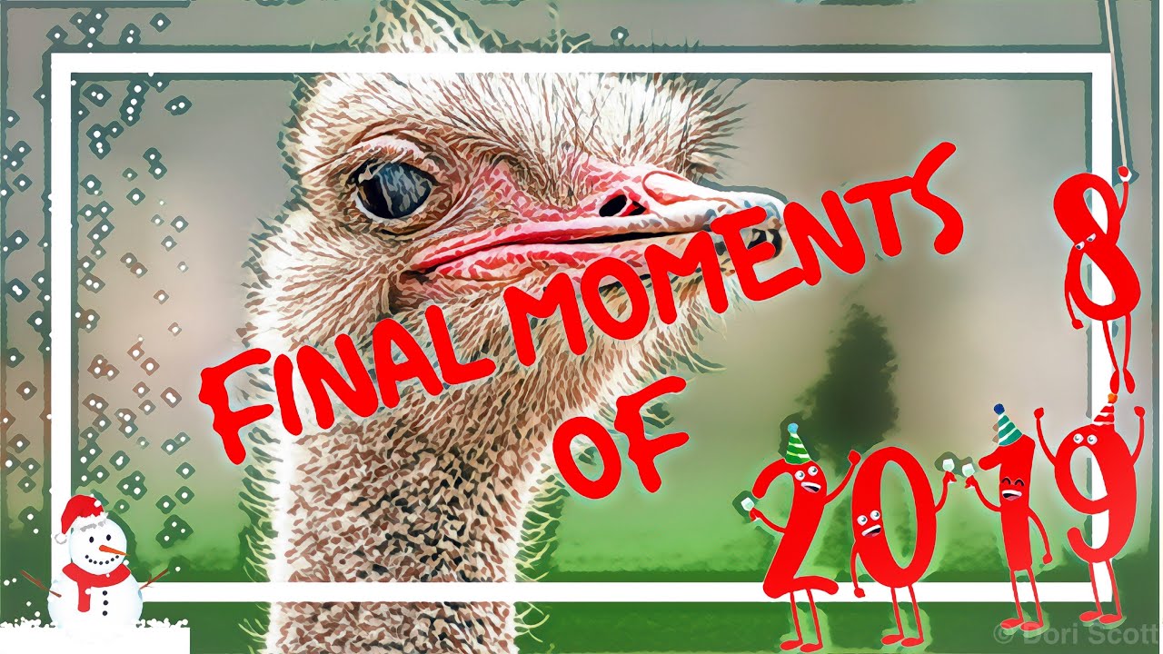 Epic Christmas Road Trip to 2019 - Dori Chronicles Vlogmas 2018