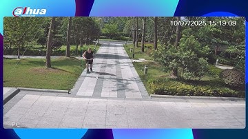 다후아 Xinghan멀티모달 모델-WizSeek