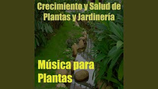 Música para Plantas, Vol. 11 (Crecimiento y Salud de Plantas y Jardinería)