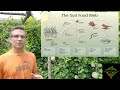 A complete guide to soil microbiology.