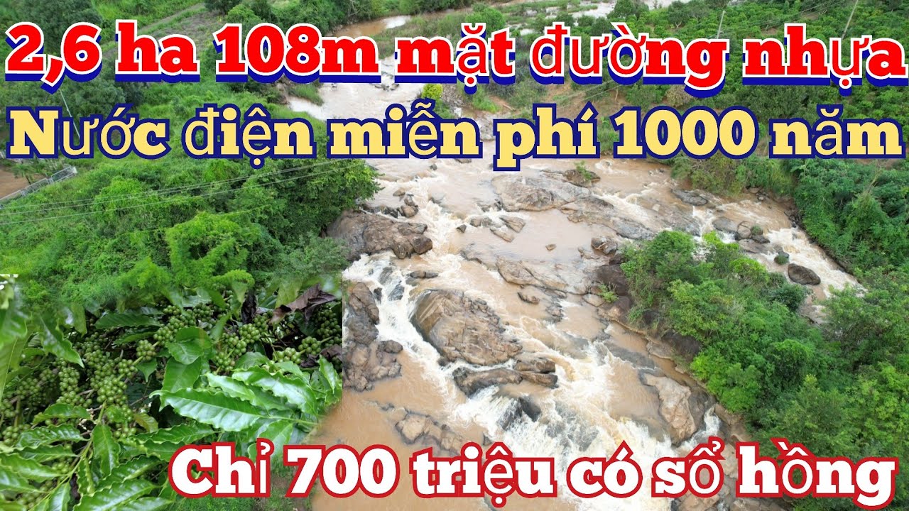 c-n-b-n-ho-c-cho-thu-2-6-ha-108m-ng-nh-a-n-c-t-i-v-i-n-mi-n-ph