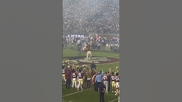 Rare moment for Chief Osceola and Renegade #FSU #NOLES #chiefosceola #Seminoles #cfb #football
