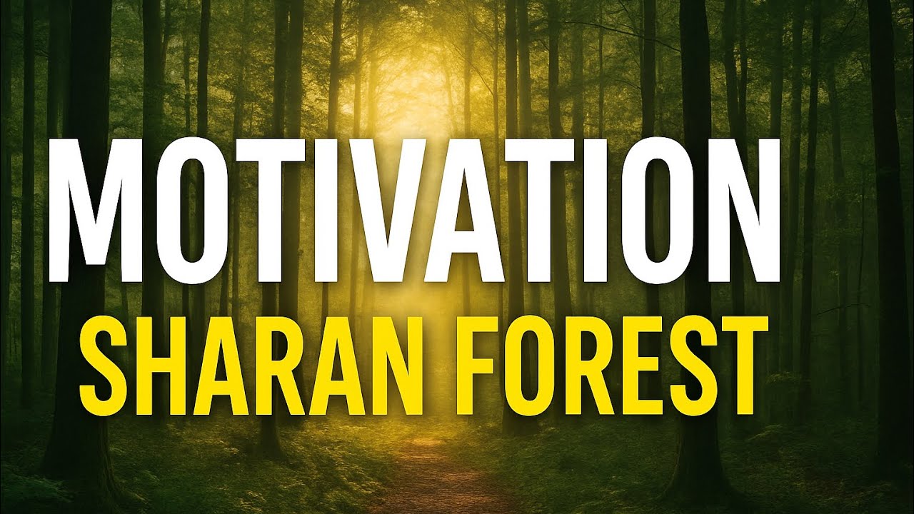 LIFE MOTIVATION AND BEAUTIFUL VIEWS OF SHARAN FOREST 🌳 