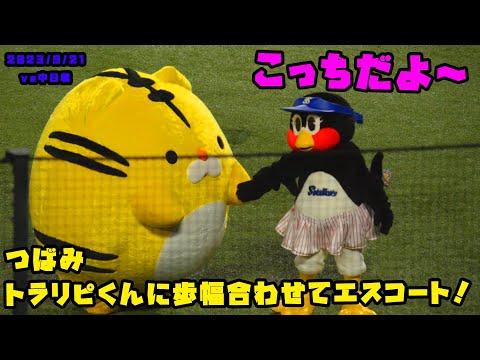 つばみ　トラリピくんに歩幅合わせてエスコートしてあげる！　2023/9/21 vs中日