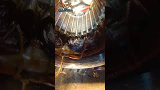 Download Lagu motor work #ringtone #remix #music #love #instrumental #electricalindia #electrical #accircuits MP3