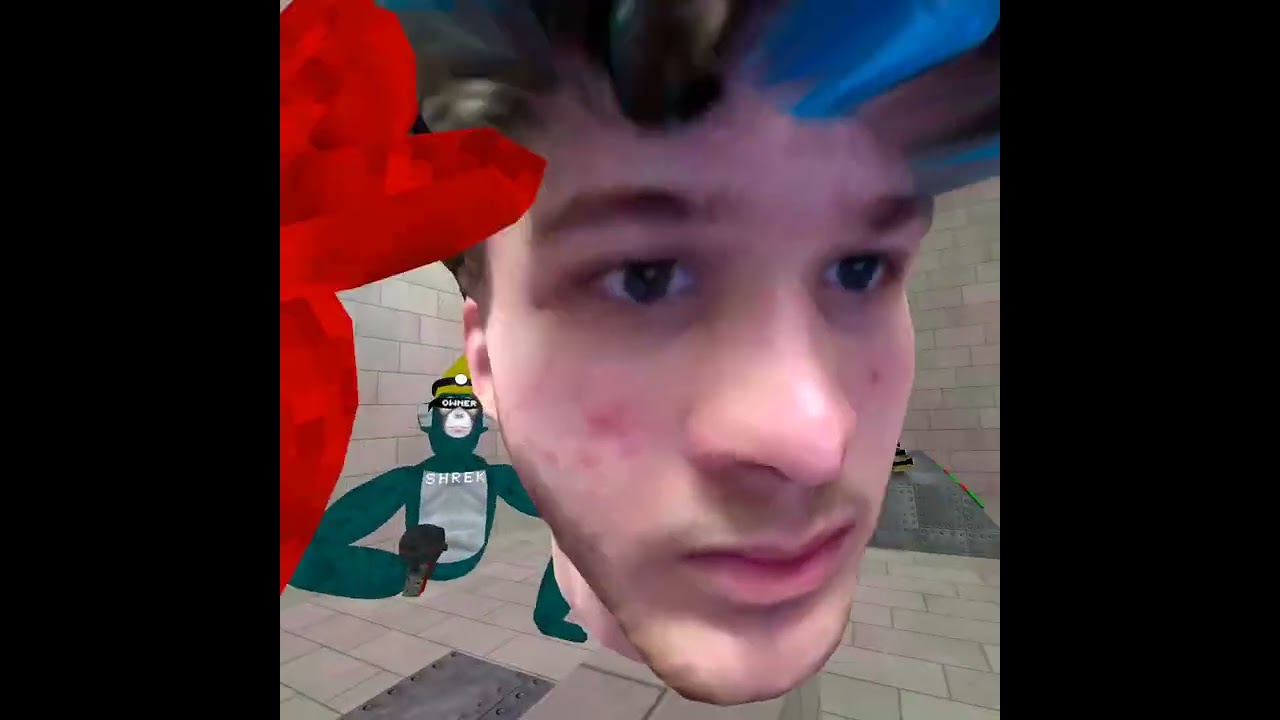 I Met shrek In big scary.