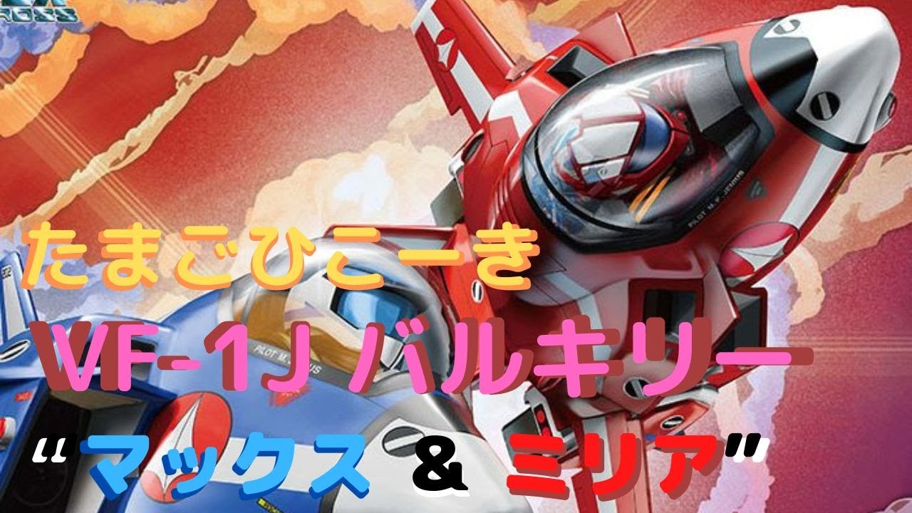 ハセガワ たまごひこーき 超時空要塞マクロス VF-1 バルキリー ノンスケール プラモデル 65789 wyw801m 楽天市場】【中古】ハセガワ たまごひこーき 超時空要塞マクロス