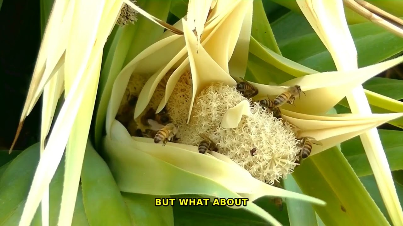 600 Incredible Facts About Close-up nature and macro wildlife