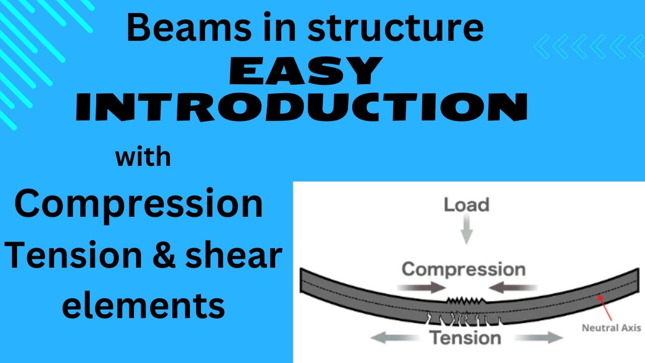 what is Beam: a combination of compression, tension and shear elements ...