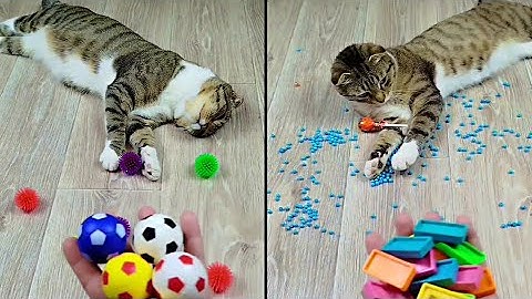 Satisfying Reverse Video ASMR 💥 Marble Run and More