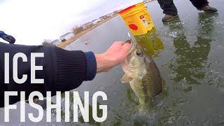 Giant Bass Through Clear Ice -- Ice Fishing