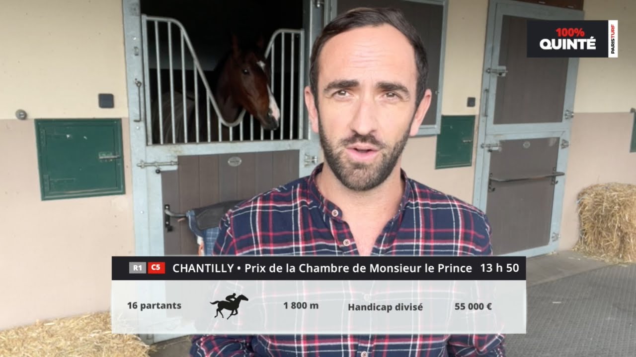 100 Quint Pronostics Du Mardi 15 Novembre Prix De La Chambre De 100-quint-pronostics-du-mardi-15-novembre-prix-de-la-chambre-de