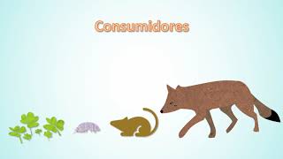 Las Cadenas Troficas - Psu Ciencias Biología