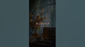 ‎يَا أَيُّهَا النَّاسُ اذْكُرُوا نِعْمَتَ اللَّهِ عَلَيْكُمْ | محمد صديق المنشاوي | سورة فاطر