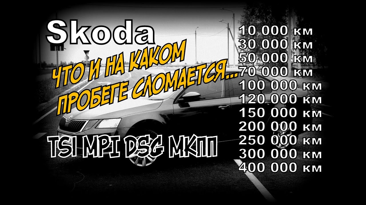 Почему шкода так называется