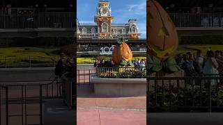 Halloween time at Disney’s Magic Kingdom is the BEST