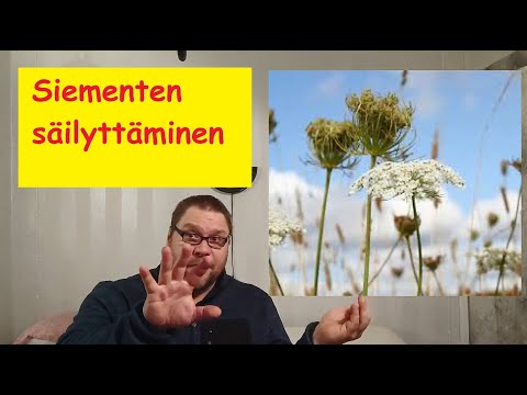 Video: Mitä siemen symboloi kirjassa Olen filippiiniläinen?