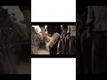 Toofan BGM Original Goosebumps Garantee 