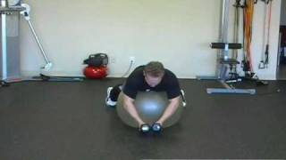 FreeFitnessVideos.com: Swiss Ball Reverse Fly Wealth