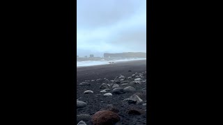 Have You Heard of Black Sand Beaches?