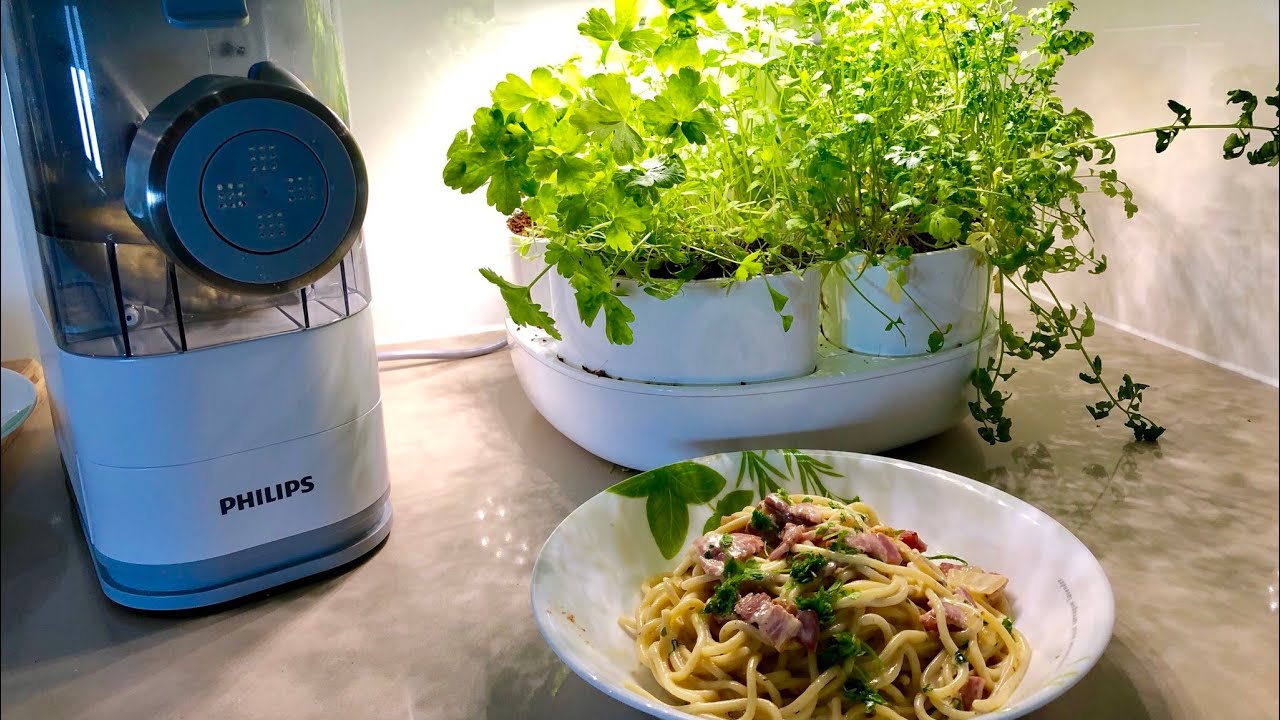 Fresh creamy Pasta with Parsley Philips Pasta and noodle maker VIVA