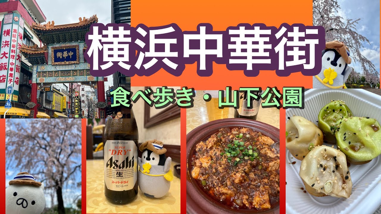 【旅vlog  横浜中華街】女ひとり食べ歩き〜ねこぺんと山下公園へ　#横浜中華街 #山下公園