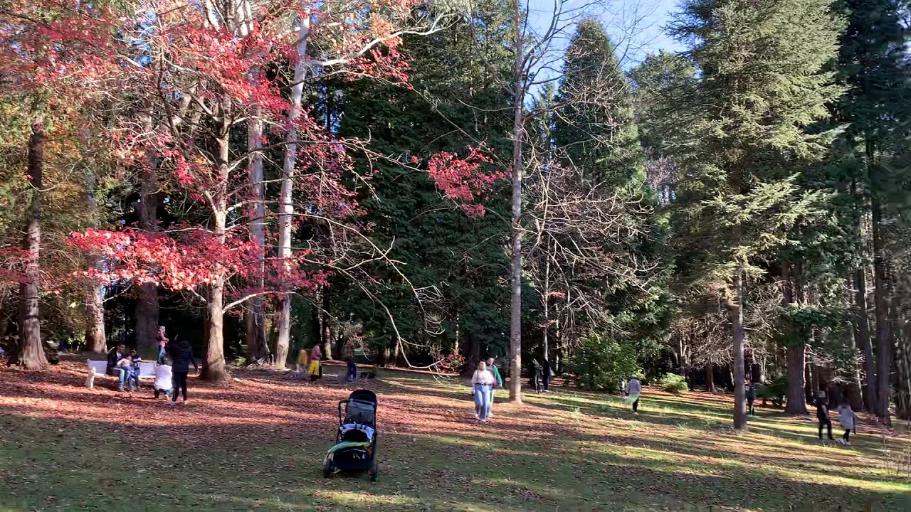 B V Prasad’s Videos