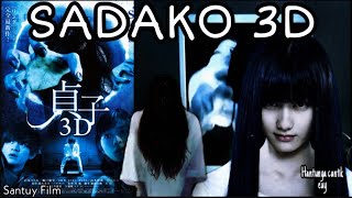 FILM HOROR!!! SADAKO BANGKIT, ALUR CERITA FILM SADAKO 3D 2012