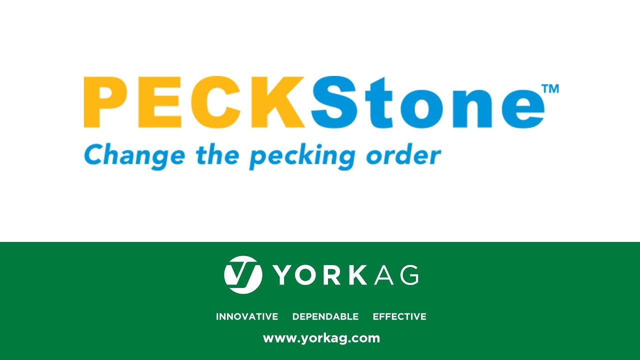 York Ag distributes PECKStone Poultry Pecking Blocks YouTube