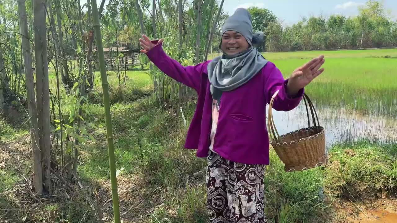 ไม่คิดว่าจะได้เห็ดเยอะขนาดนี้ เห็นแล้วแทบไม่เชื่อสายตา เก็บทุกวันก็ยังออกไม่หยุด