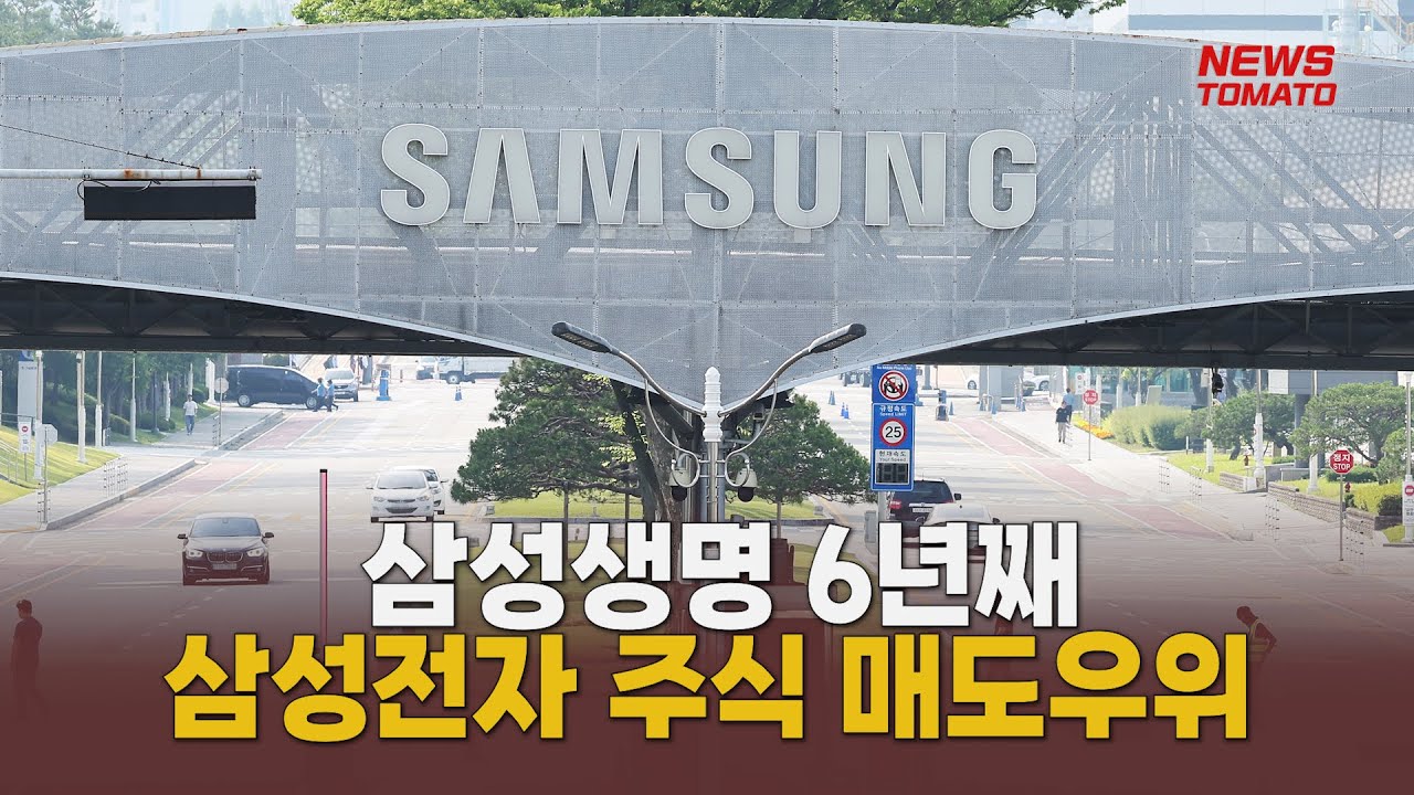 삼성생명, 6년째 삼성전자 주식 매도우위 [말하는 기자들_산업_0621]