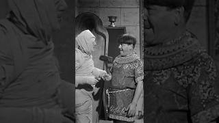 The Three Stooges Are Forgiving