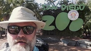 The San Diego Zoo Vlog