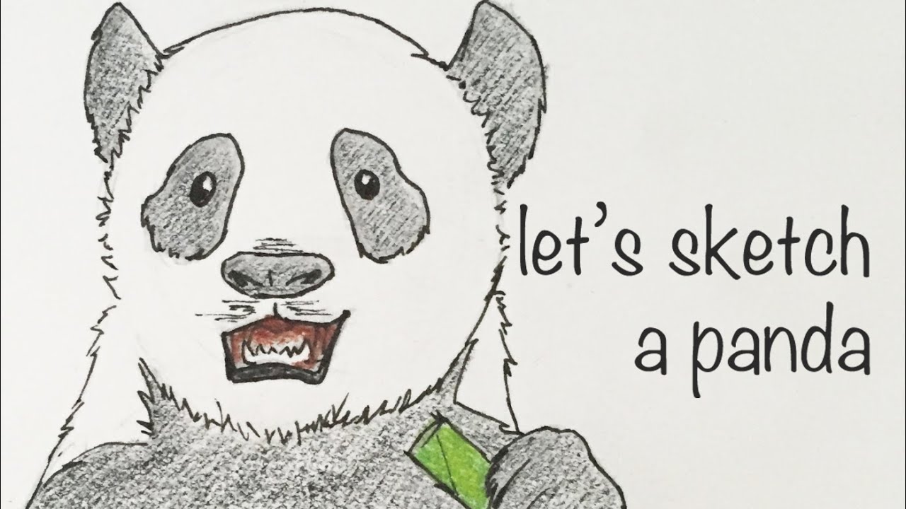 Quick panda sketch - YouTube