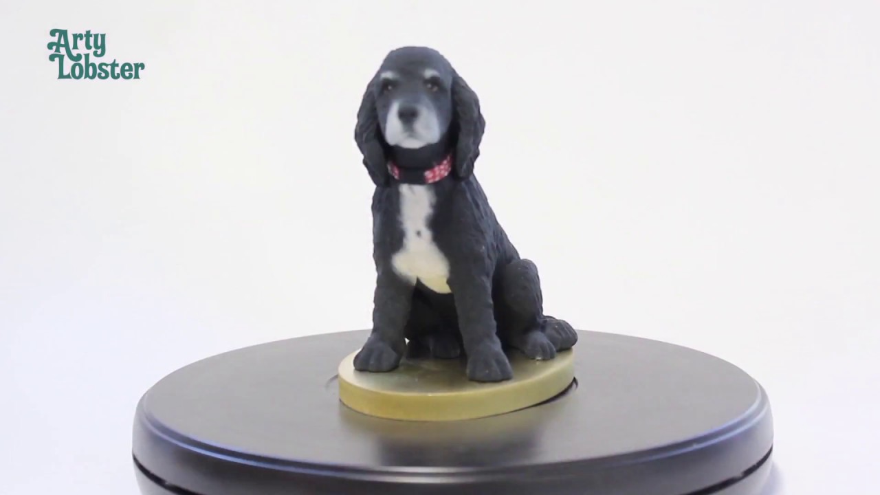 fondant cocker spaniel