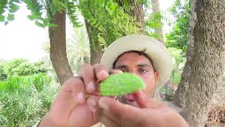 ASMR with friend village