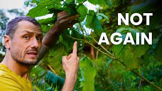 Famous Stop Fighting Aphids on Fruit Trees (Do This Instead) Net Worth