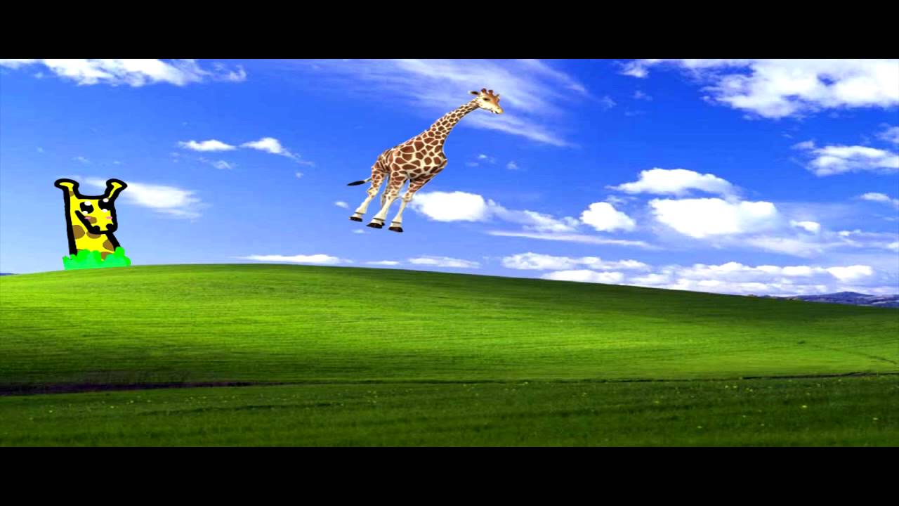 Put Giraffes In The Air Youtube