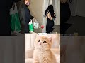 #funny #anime #cat