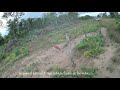 caza de venados y javalis con perros MARAQUITA