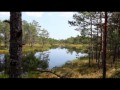 Beauty of Estonia - Paukjarv and Suru Suursoo