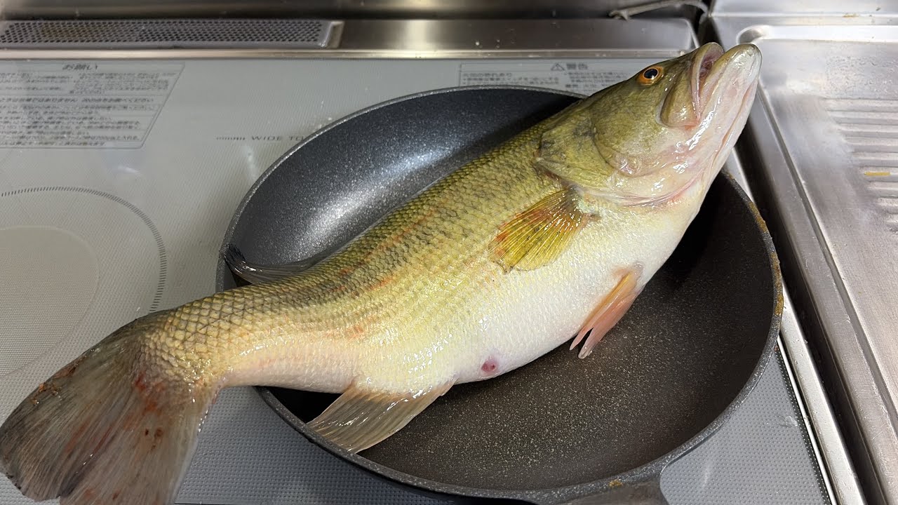 【外来魚グルメ】ブラックバスでノリ弁作ってみた。