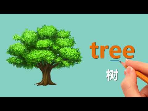 【入门B U10-1｜单词】hill 和 mountain 都是山，什么时候用 hill？｜新概念英语青少版