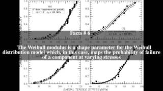 Celebrity Weibull modulus Top # 12 Facts Net Worth