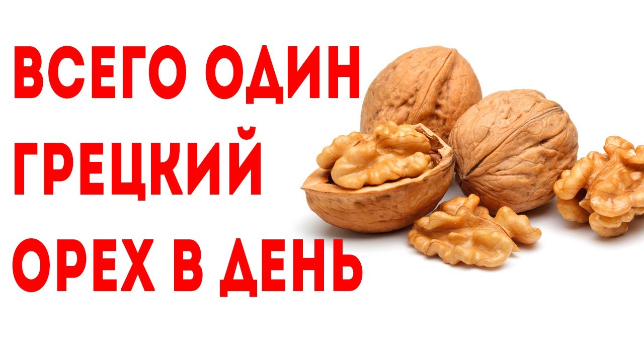 Доклад по теме Грецкие орехи