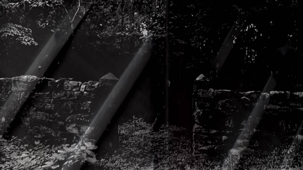 Dex Romweber "Out of the Way" (Official Music Video)