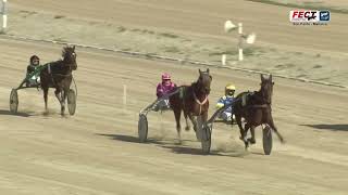 Vidéo de la course PMU PREMI VITALIC