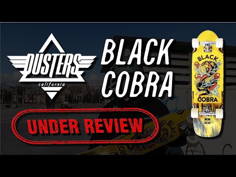 DUSTERS BLACK COBRA -  კრუიზერის მოკლე მიმოხილვა | კითხვა-პასუხი