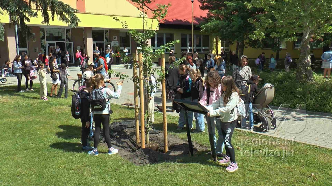 Základní škola ve Velkých Bílovicích slaví 40 let